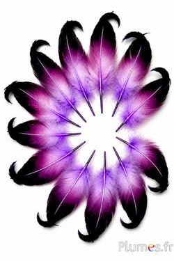 Eend - 6-9 cm - aubergine-zwart